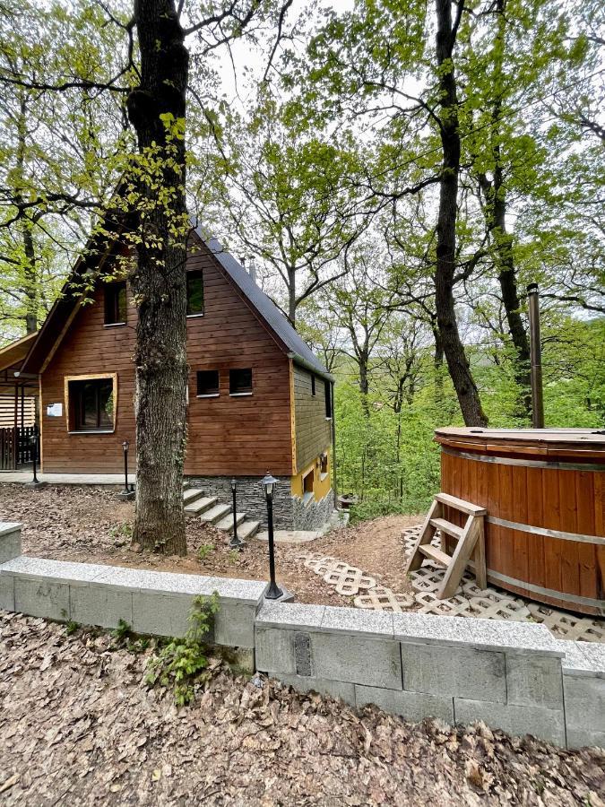 Apartamento Toelgyes Menedek Noszvaj Exterior foto
