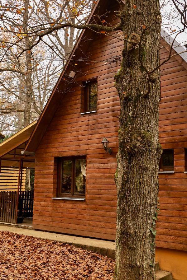 Apartamento Toelgyes Menedek Noszvaj Exterior foto